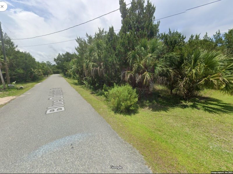 Blue Dolphin Dr, Crawfordville, FL 32327