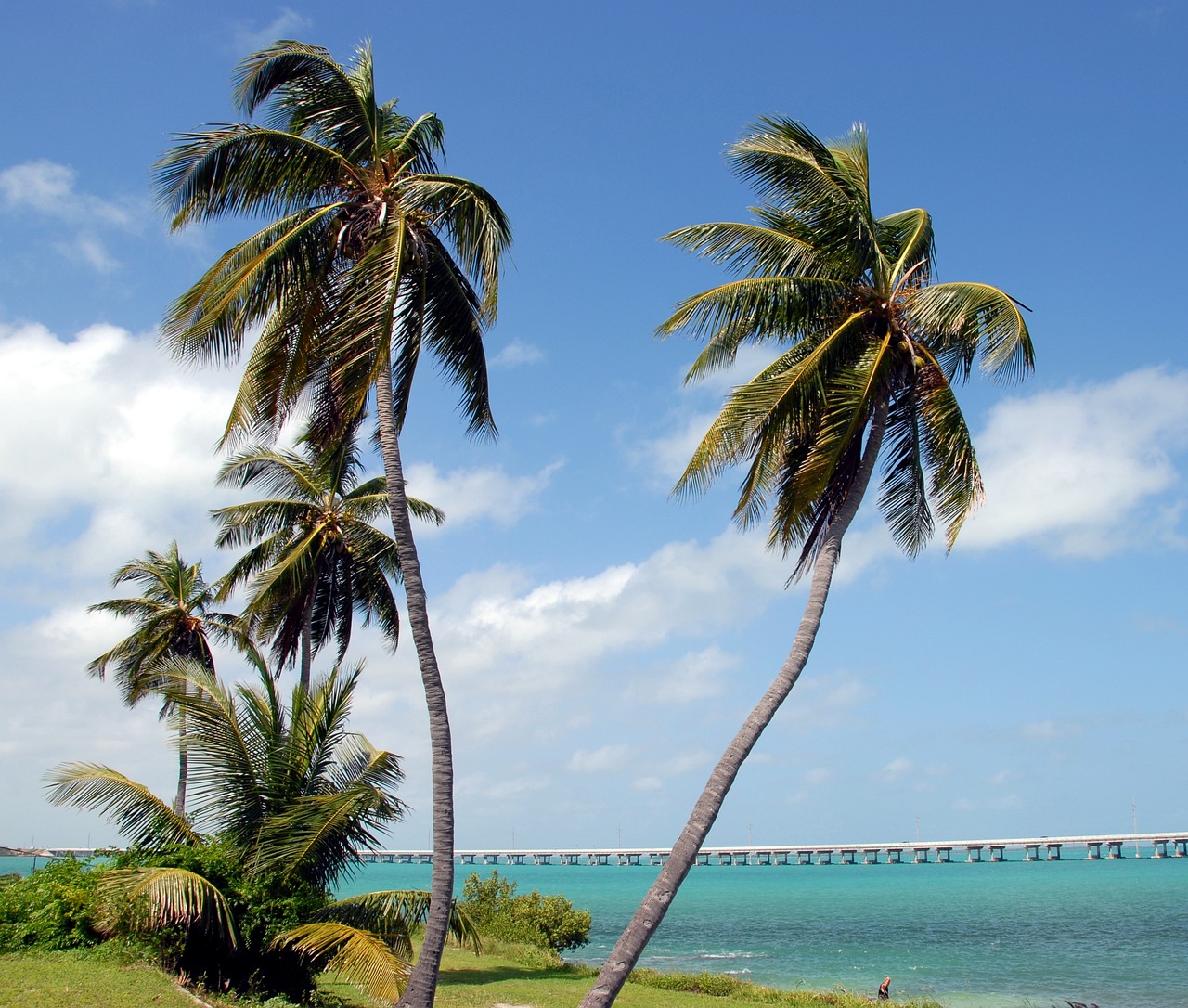 Beach front real estate in florida