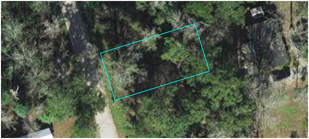 Maxson Rd (Lot 8), Crawfordville, FL 32327