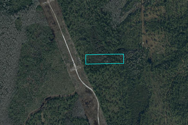 Dill Rd, Bithlo, FL 32820 2.55 Acres