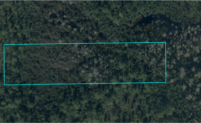 Dill Rd, Bithlo, FL 32820 2.55 Acres