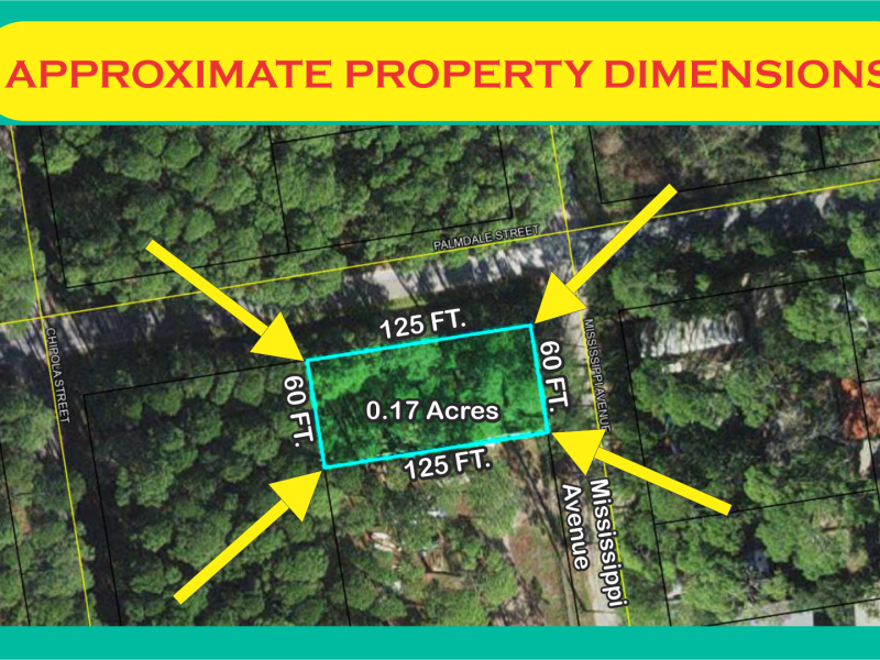 Mississippi Ave, Panacea, FL 32346 .17 Acres