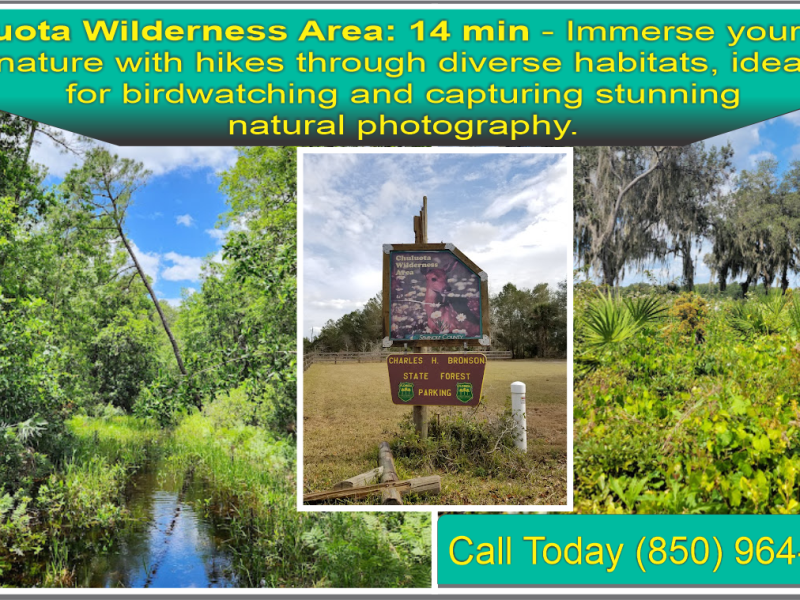 Dill Rd, Bithlo, FL 32820 2.55 Acres