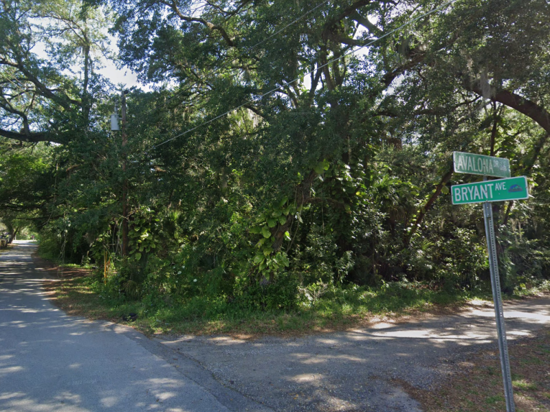 Bryant Ave, Sanford, FL 32773