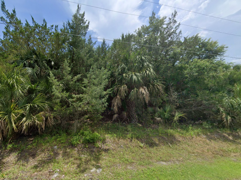 Gator Trail, Crawfordville, FL 32327