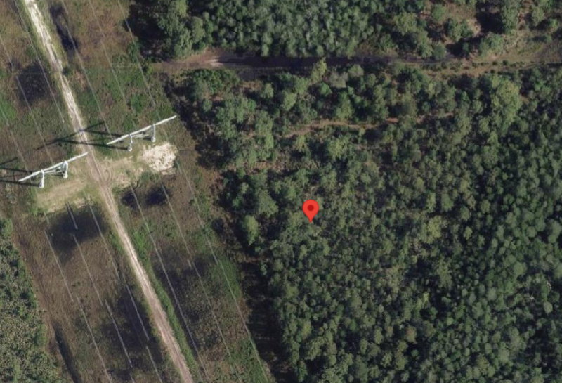 Dill Rd, Bithlo, FL 32820 1.27 Acres