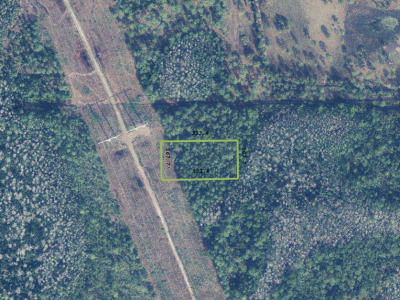 Dill Rd, Bithlo, FL 32820 1.27 Acres
